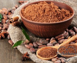 Best-Prices-Cocoa-Ingredient-Natural-and-Alkalized.jpg_640x640xz