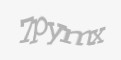 Защитный код