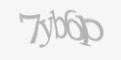 Защитный код