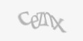 Защитный код